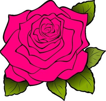 Pink Rose Panda Free Images clipart
