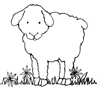 Sheep Black And White