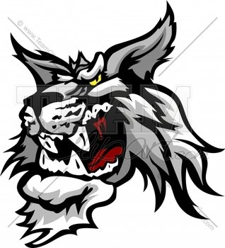 Wildcat Mascot N4