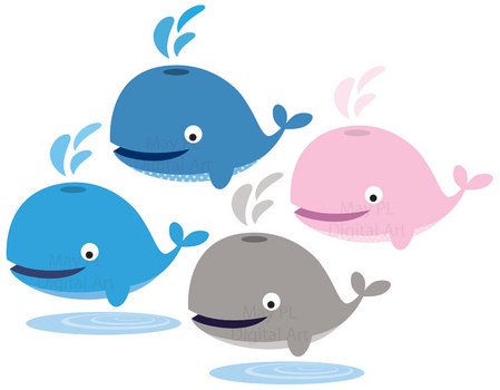 Clipart Whale