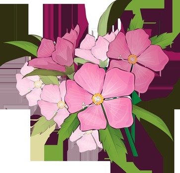 Iris Wreath Page 2 Dog Breeds Picture