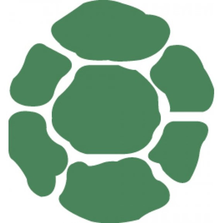 Ninja Turtles Shell Frees That You Can Download To N2