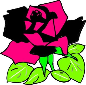 Swirl rose drawing