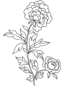 Dover Publications N5