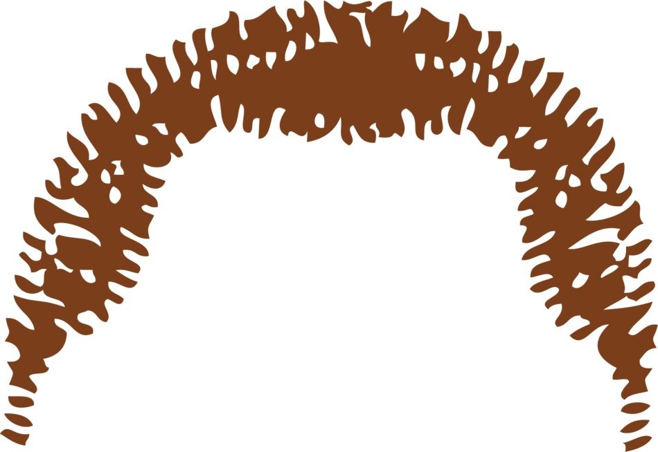 Brown hair clipart