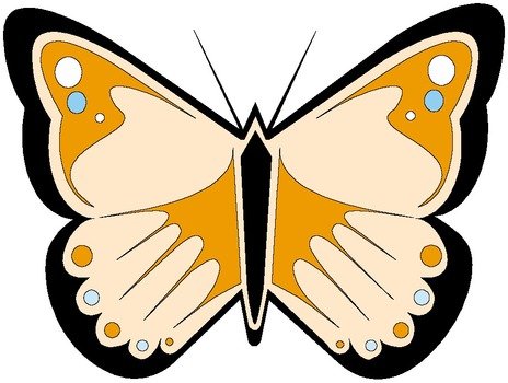 Nature butterfly drawing