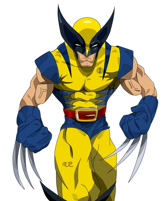 Television wolverine drawing