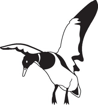 Landing Black And White Duck At Clkercom Vector N2