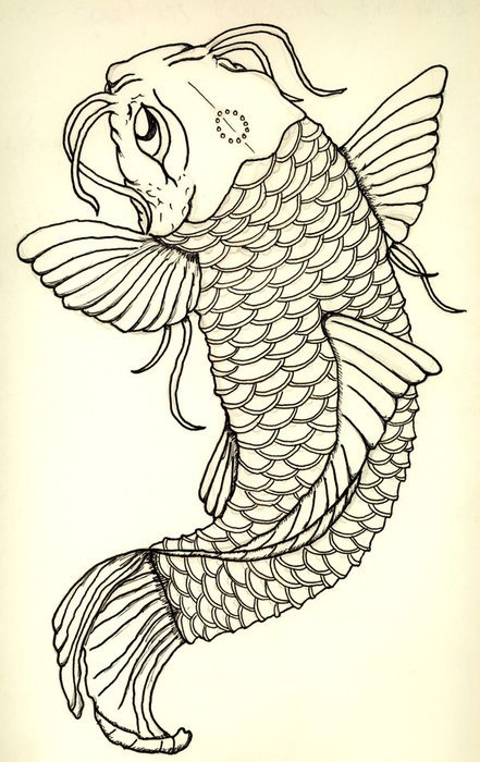 Koi Tattoo drawing