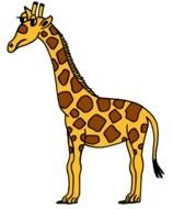 Cartoon Giraffe drawing