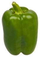 Green Bell Pepper drawing
