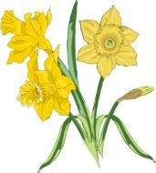 Clip Art For The Spring Season
