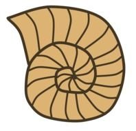 Clipart of the shell Fossil