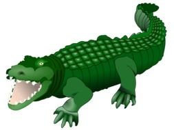 green Alligator Cartoon drawing