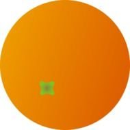 Whole Round Orange Fruit Free