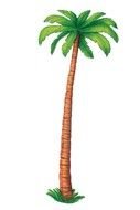 Clipart of Exotic Palm tree