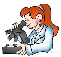 Science Black And White Panda Free Images clipart N2