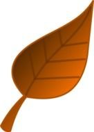 brown sheet in 3d graphics
