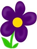 purple flower with five petals, drawing