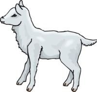 Gray Art Standing Lamb Animal Fluffy