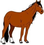 Horse By Soulhavennz On Deviantart