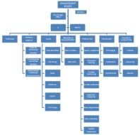 Organizational Chart Dom Titan Dd