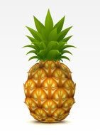 Cartoon Pineapple Herbal Murah Dan Manfaat Pin Bb 298b8899