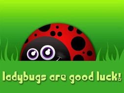 Cartoon Ladybug Use To Create A T Shirt Decal Or Logo
