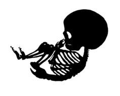 black baby skeleton