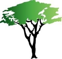 Acacia Tree Silhouette drawing