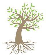 Tree Removal Oakville Storybook Services Deep Root