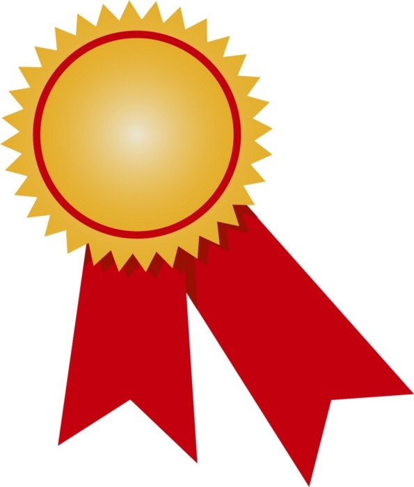 Winner Gold Ribbon Medal