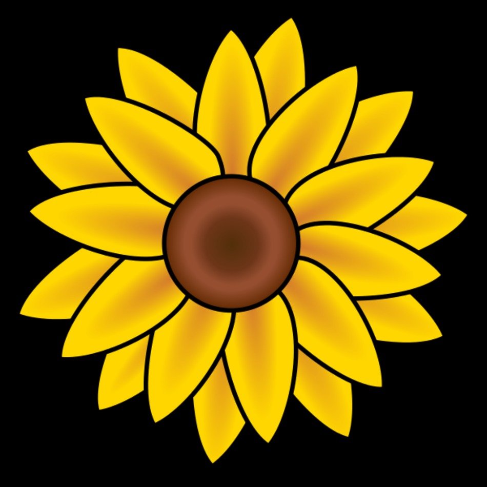 Description Sunflowersvg N2