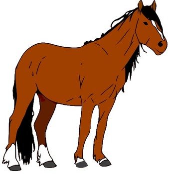 Horse By Soulhavennz On Deviantart