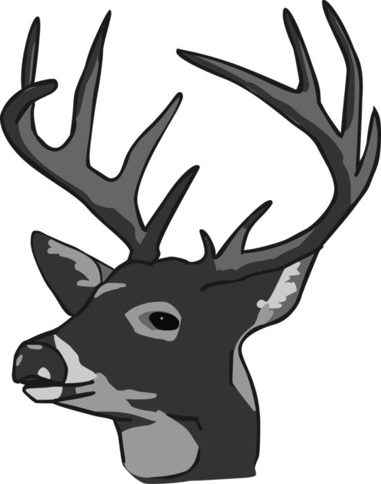 grey deer head