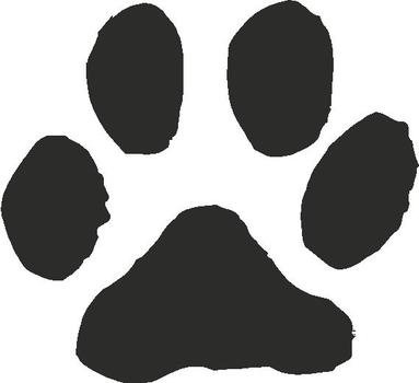 Left And 4 Right Domestic Cat Paw Print Tracks Graphic Sticker Decal
