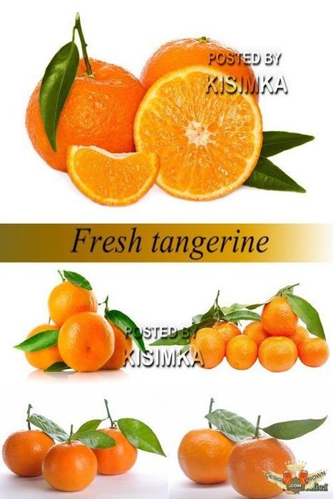 446 Tangerine And Clip Scalable Closeup Graphic clipart