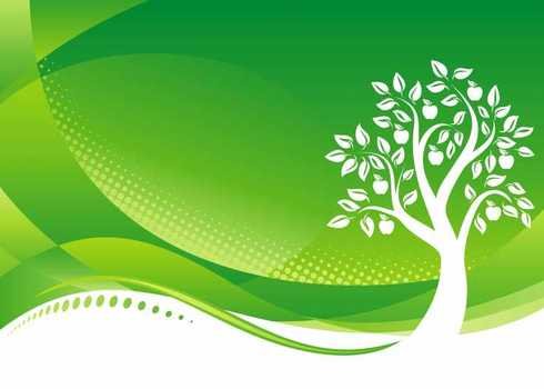 Environment Day Best Wallpapers Pics And Photos 2014 Update Nation