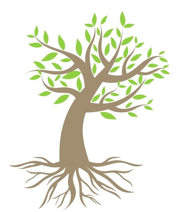 Tree Removal Oakville Storybook Services Deep Root