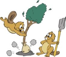 Beavers Planting A Tree At Clkercom Vector Online