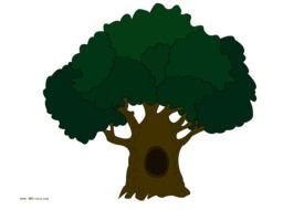 Free Oak Tree drawing
