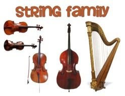 string musical instruments
