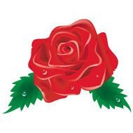 Rosa Roja Vector Imagen Descarga En Vectorportal