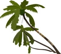 Vector Palm Trees At Clkercom Online N3