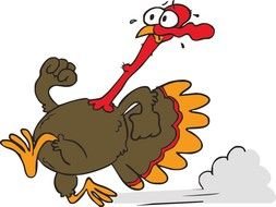 Clipart of the running turkey