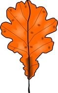 10 Fall Leaves Frees That You Can Download To
