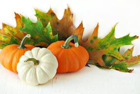 pumpkin near autumn leaves