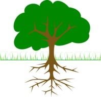 Tree Branches And Roots At Clkercom Vector Online clipart N2