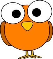 drawn little cartoon owl