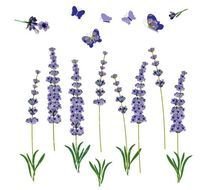 Flower Vintage Lavender Botanical Flowersbutterfly Clip